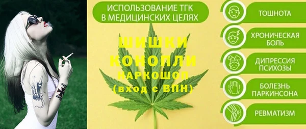 амф Елизово
