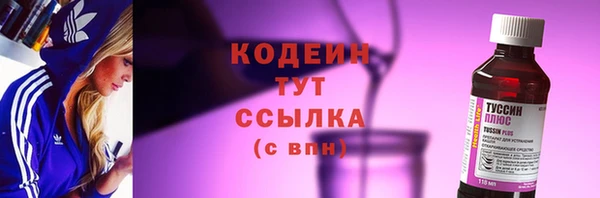 амф Елизово