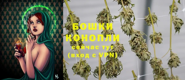 стаф Елабуга