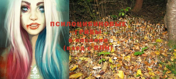 соль курить ск Заволжье